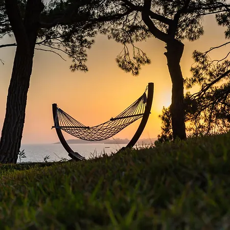 Wome Prime 阿拉尼亚