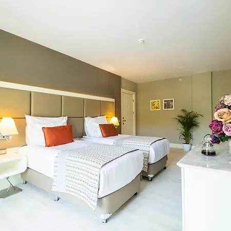 Wome Prime 阿拉尼亚